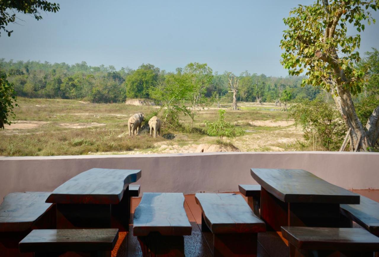 I Love Phants Lodge Ban Huai Thawai Dış mekan fotoğraf