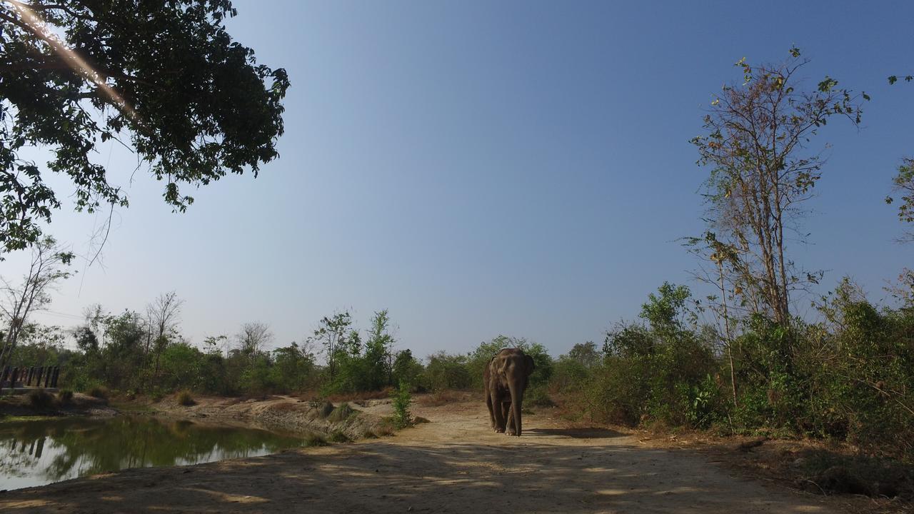 I Love Phants Lodge Ban Huai Thawai Dış mekan fotoğraf